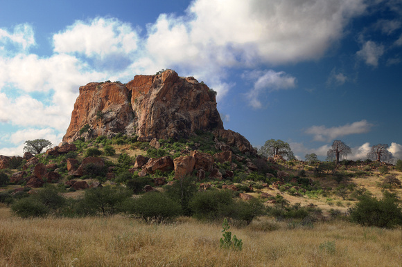 Mapungubwe landscape (1) (HDR picture)